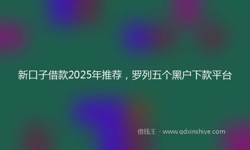新口子借款2025年推荐，罗列五个黑户下款平台