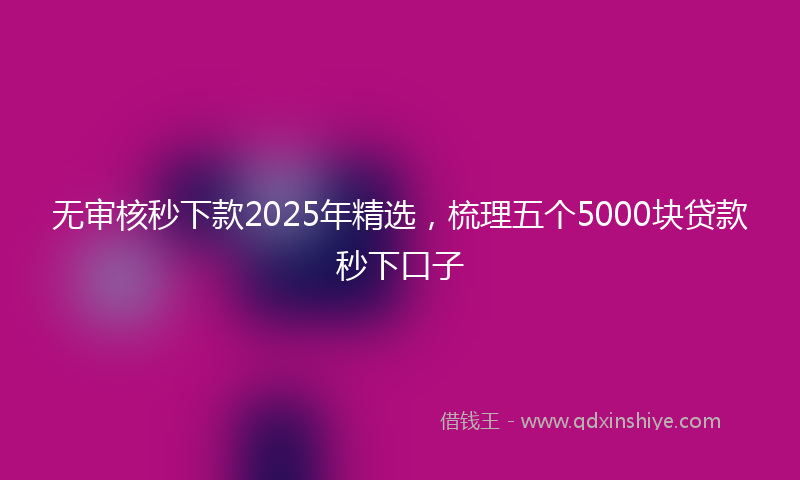 无审核秒下款2025年精选，梳理五个5000块贷款秒下口子