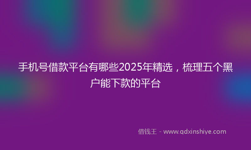 手机号借款平台有哪些2025年精选，梳理五个黑户能下款的平台
