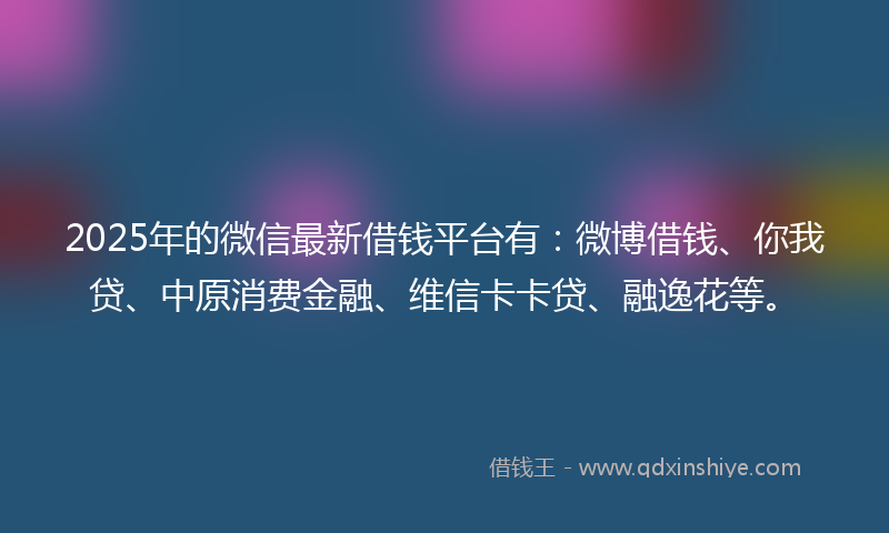 2025年的微信最新借钱平台有：微博借钱、你我贷、中原消费金融、维信卡卡贷、融逸花等。