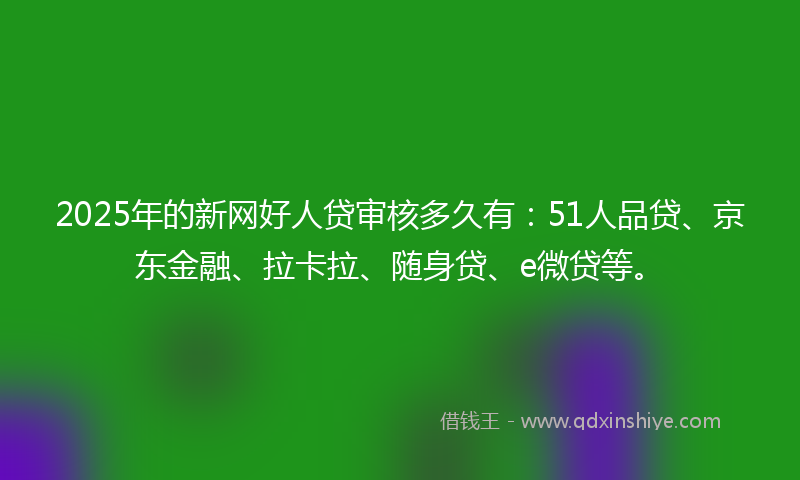 2025年的新网好人贷审核多久有：51人品贷、京东金融、拉卡拉、随身贷、e微贷等。
