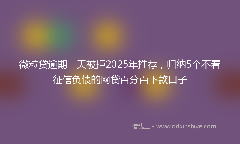 微粒贷逾期一天被拒2025年推荐，归纳5个不看征信负债的网贷百分百下款口子