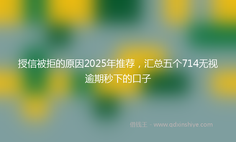 授信被拒的原因2025年推荐，汇总五个714无视逾期秒下的口子