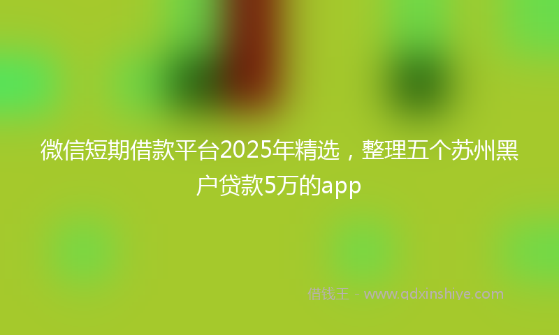 微信短期借款平台2025年精选，整理五个苏州黑户贷款5万的app