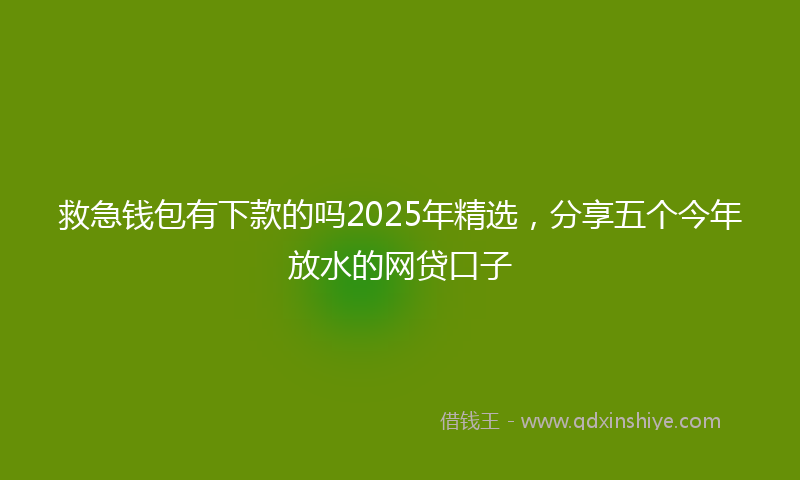 救急钱包有下款的吗2025年精选，分享五个今年放水的网贷口子