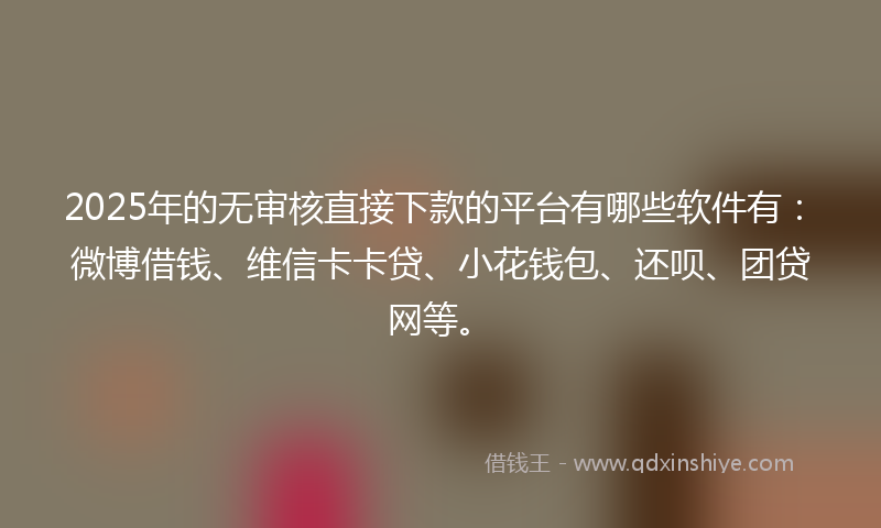 2025年的无审核直接下款的平台有哪些软件有：微博借钱、维信卡卡贷、小花钱包、还呗、团贷网等。