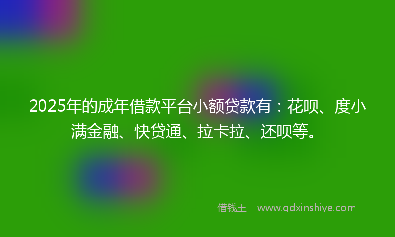 2025年的成年借款平台小额贷款有：花呗、度小满金融、快贷通、拉卡拉、还呗等。