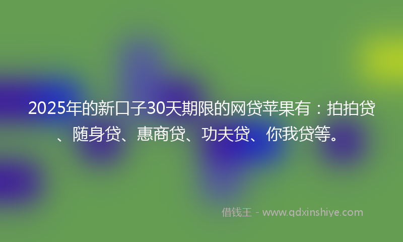 2025年的新口子30天期限的网贷苹果有：拍拍贷、随身贷、惠商贷、功夫贷、你我贷等。