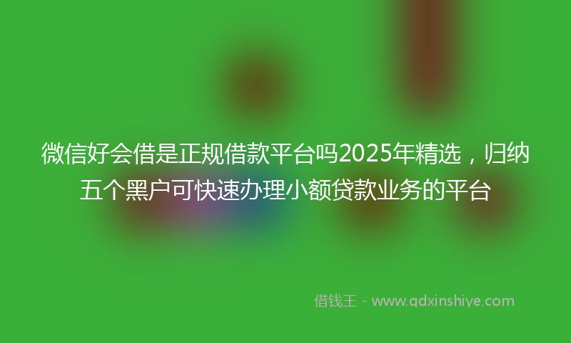 微信好会借是正规借款平台吗2025年精选，归纳五个黑户可快速办理小额贷款业务的平台