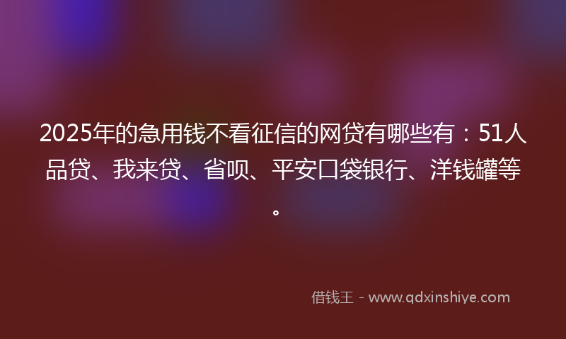 2025年的急用钱不看征信的网贷有哪些有：51人品贷、我来贷、省呗、平安口袋银行、洋钱罐等。