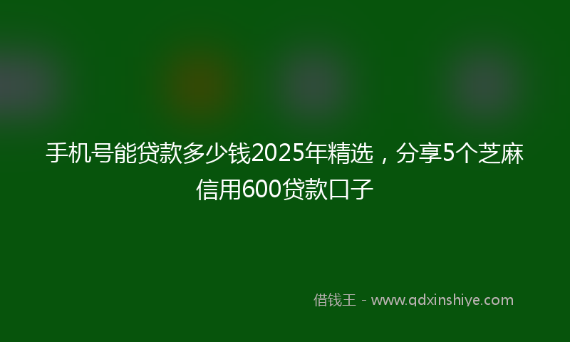 手机号能贷款多少钱2025年精选，分享5个芝麻信用600贷款口子