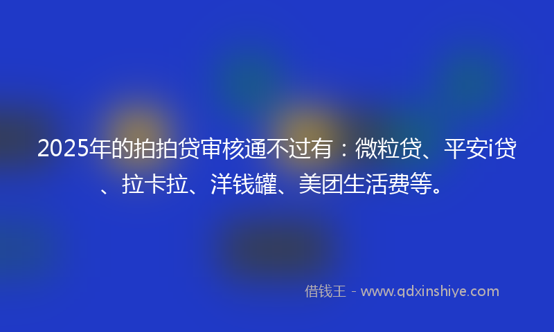 2025年的拍拍贷审核通不过有：微粒贷、平安i贷、拉卡拉、洋钱罐、美团生活费等。