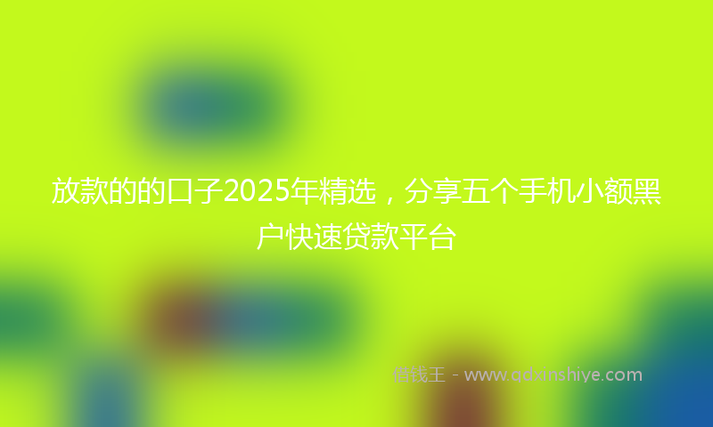 放款的的口子2025年精选，分享五个手机小额黑户快速贷款平台