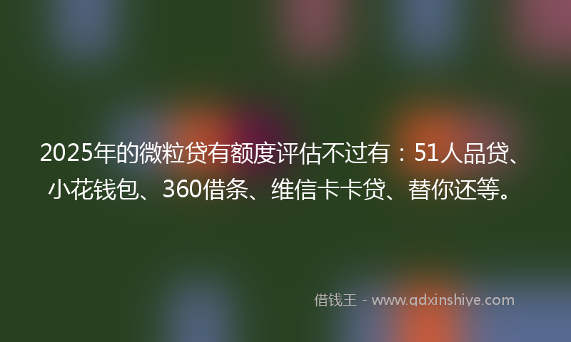 2025年的微粒贷有额度评估不过有：51人品贷、小花钱包、360借条、维信卡卡贷、替你还等。