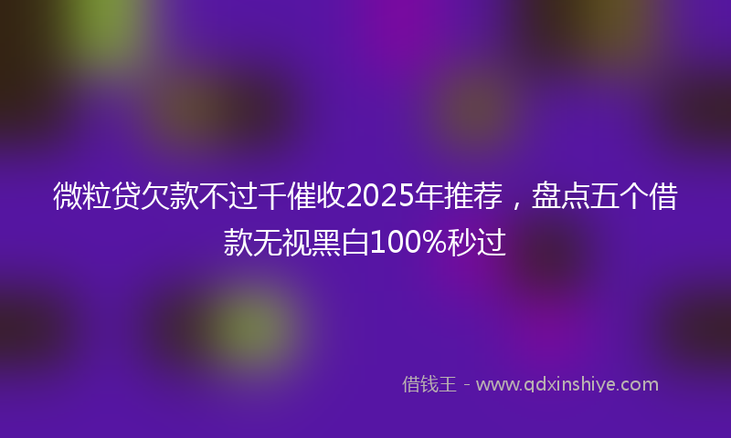 微粒贷欠款不过千催收2025年推荐，盘点五个借款无视黑白100%秒过
