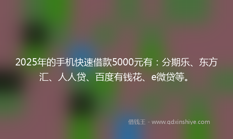 2025年的手机快速借款5000元有：分期乐、东方汇、人人贷、百度有钱花、e微贷等。