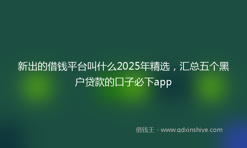 新出的借钱平台叫什么2025年精选，汇总五个黑户贷款的口子必下app