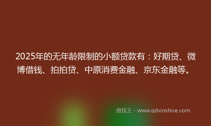 2025年的无年龄限制的小额贷款有：好期贷、微博借钱、拍拍贷、中原消费金融、京东金融等。