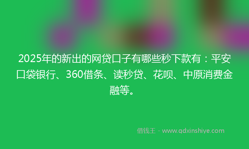 2025年的新出的网贷口子有哪些秒下款有：平安口袋银行、360借条、读秒贷、花呗、中原消费金融等。