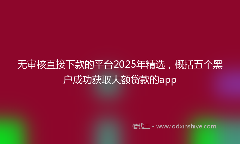 无审核直接下款的平台2025年精选，概括五个黑户成功获取大额贷款的app