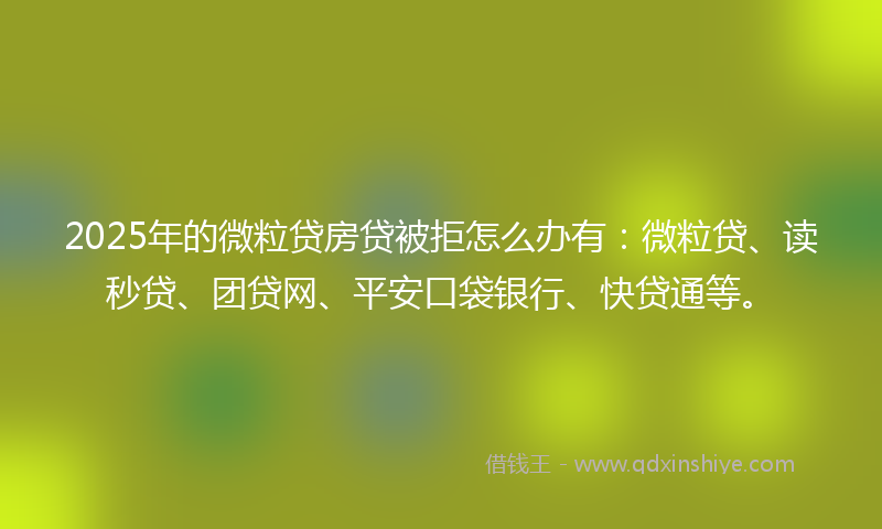 2025年的微粒贷房贷被拒怎么办有：微粒贷、读秒贷、团贷网、平安口袋银行、快贷通等。