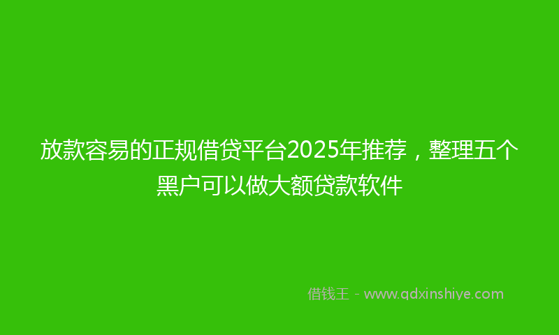 放款容易的正规借贷平台2025年推荐，整理五个黑户可以做大额贷款软件