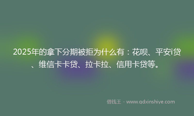 2025年的拿下分期被拒为什么有：花呗、平安i贷、维信卡卡贷、拉卡拉、信用卡贷等。