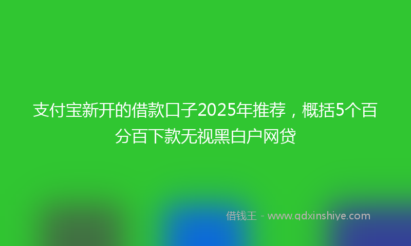 支付宝新开的借款口子2025年推荐，概括5个百分百下款无视黑白户网贷