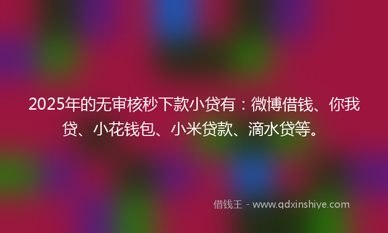 2025年的无审核秒下款小贷有：微博借钱、你我贷、小花钱包、小米贷款、滴水贷等。