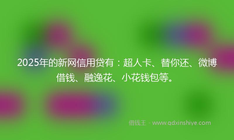 2025年的新网信用贷有：超人卡、替你还、微博借钱、融逸花、小花钱包等。