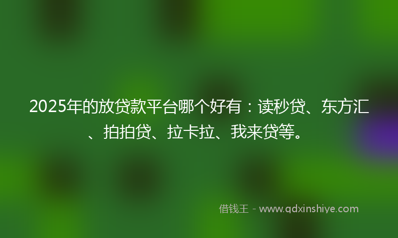 2025年的放贷款平台哪个好有：读秒贷、东方汇、拍拍贷、拉卡拉、我来贷等。