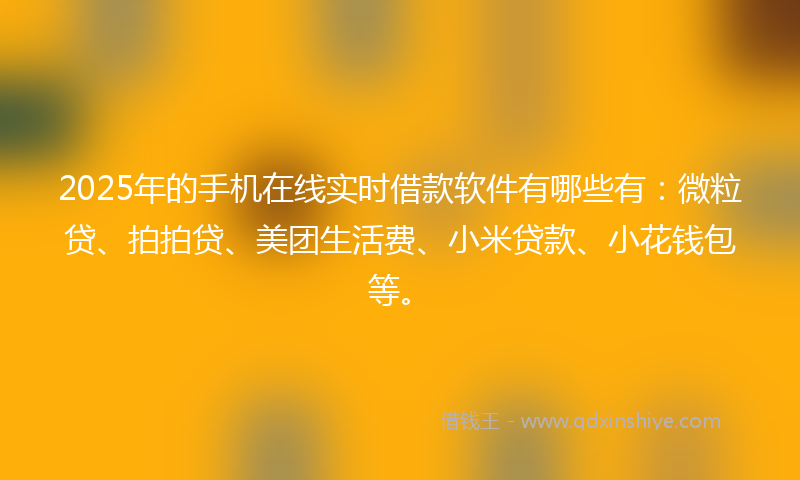 2025年的手机在线实时借款软件有哪些有：微粒贷、拍拍贷、美团生活费、小米贷款、小花钱包等。
