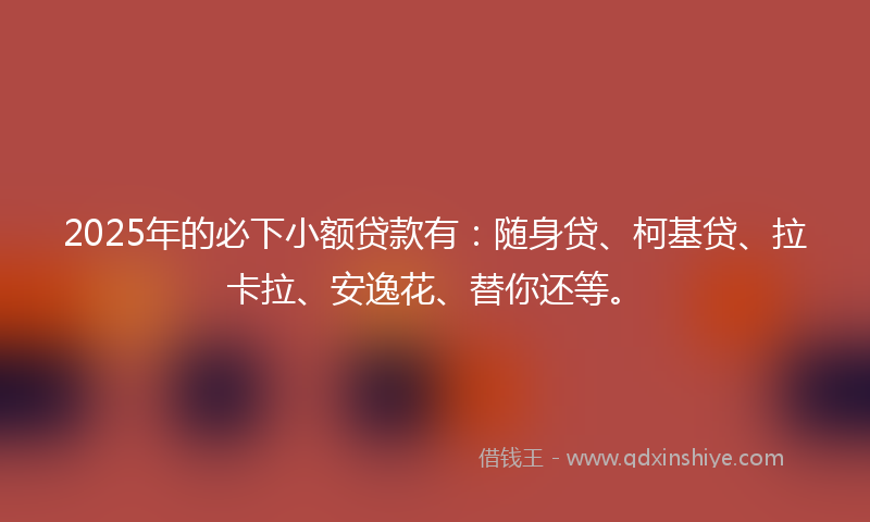 2025年的必下小额贷款有：随身贷、柯基贷、拉卡拉、安逸花、替你还等。