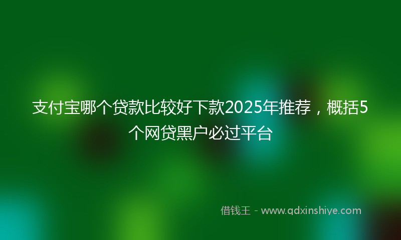 支付宝哪个贷款比较好下款2025年推荐，概括5个网贷黑户必过平台