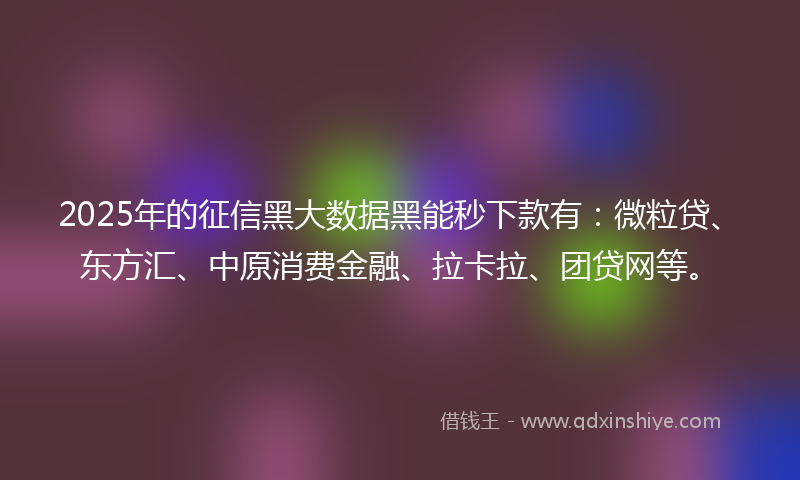 2025年的征信黑大数据黑能秒下款有：微粒贷、东方汇、中原消费金融、拉卡拉、团贷网等。