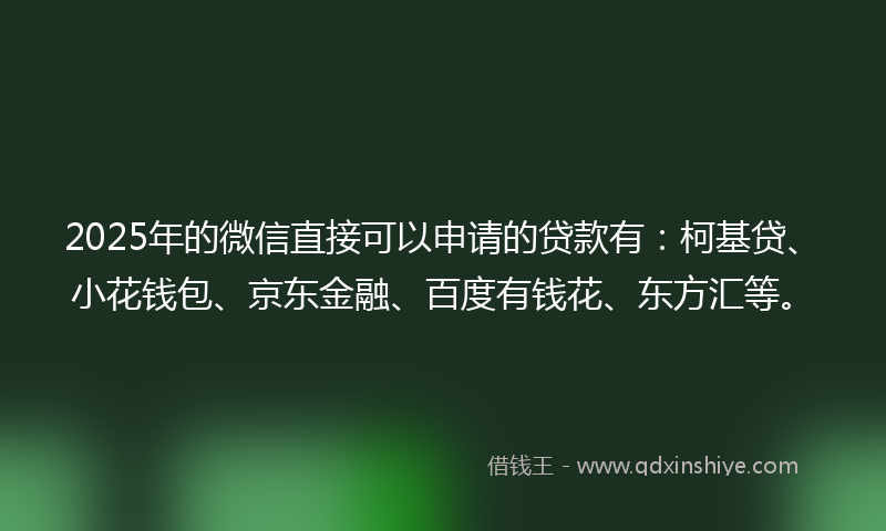 2025年的微信直接可以申请的贷款有：柯基贷、小花钱包、京东金融、百度有钱花、东方汇等。