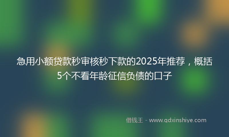 急用小额贷款秒审核秒下款的2025年推荐，概括5个不看年龄征信负债的口子