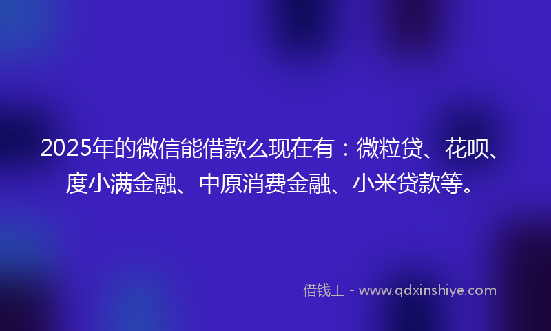 2025年的微信能借款么现在有：微粒贷、花呗、度小满金融、中原消费金融、小米贷款等。