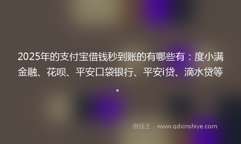 2025年的支付宝借钱秒到账的有哪些有：度小满金融、花呗、平安口袋银行、平安i贷、滴水贷等。