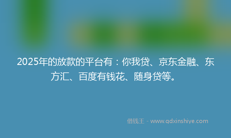 2025年的放款的平台有：你我贷、京东金融、东方汇、百度有钱花、随身贷等。