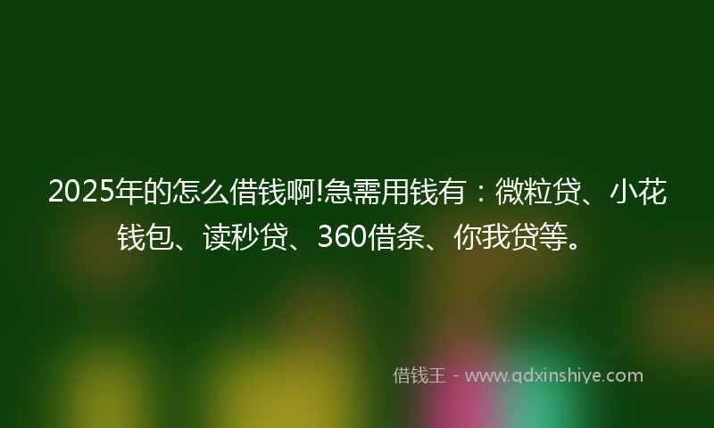 2025年的怎么借钱啊!急需用钱有：微粒贷、小花钱包、读秒贷、360借条、你我贷等。