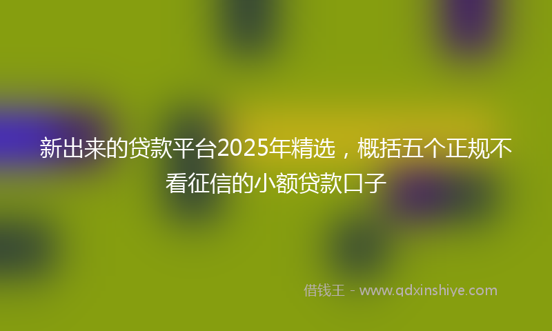 新出来的贷款平台2025年精选，概括五个正规不看征信的小额贷款口子