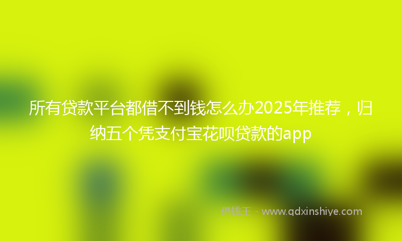 所有贷款平台都借不到钱怎么办2025年推荐，归纳五个凭支付宝花呗贷款的app