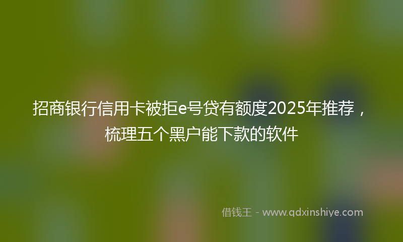 招商银行信用卡被拒e号贷有额度2025年推荐，梳理五个黑户能下款的软件