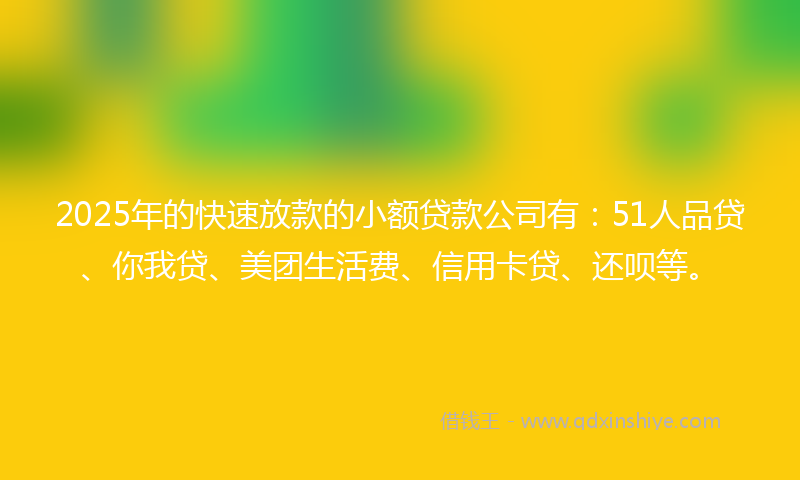 2025年的快速放款的小额贷款公司有：51人品贷、你我贷、美团生活费、信用卡贷、还呗等。