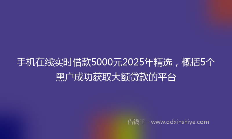手机在线实时借款5000元2025年精选，概括5个黑户成功获取大额贷款的平台