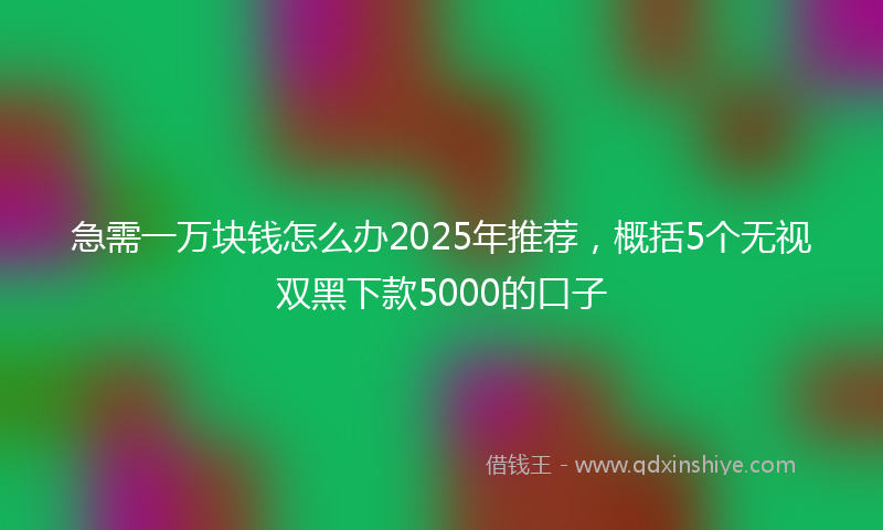 急需一万块钱怎么办2025年推荐，概括5个无视双黑下款5000的口子