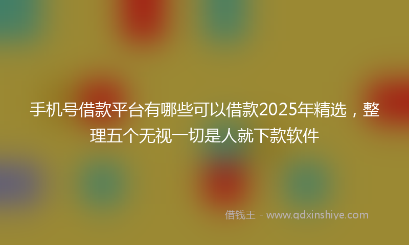 手机号借款平台有哪些可以借款2025年精选，整理五个无视一切是人就下款软件