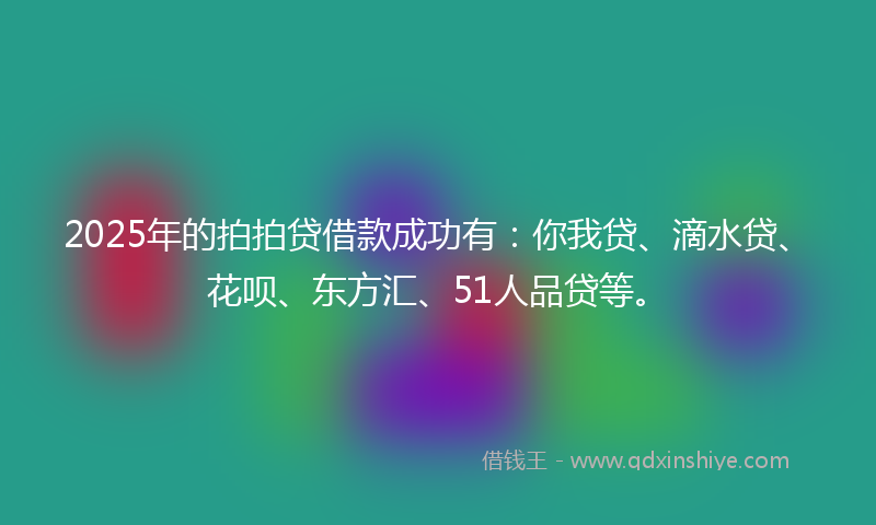 2025年的拍拍贷借款成功有：你我贷、滴水贷、花呗、东方汇、51人品贷等。