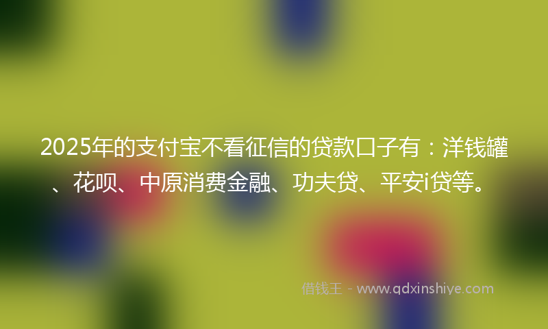 2025年的支付宝不看征信的贷款口子有：洋钱罐、花呗、中原消费金融、功夫贷、平安i贷等。
